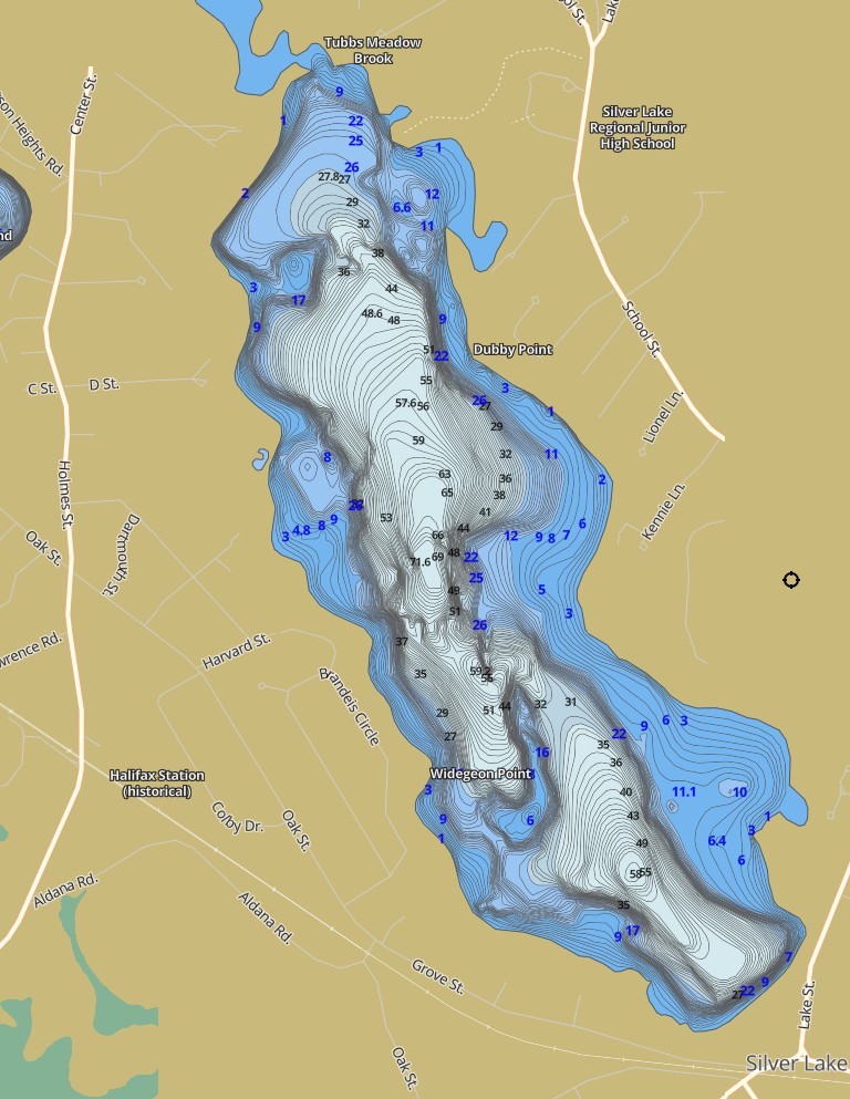 Lake map of Silver Lake
